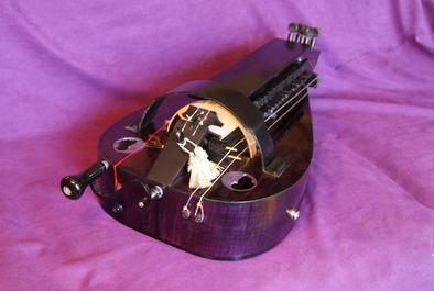 Purple hurdy gurdy 