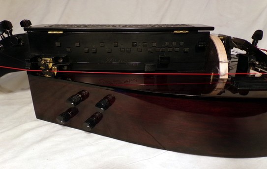 electric hurdy gurdy